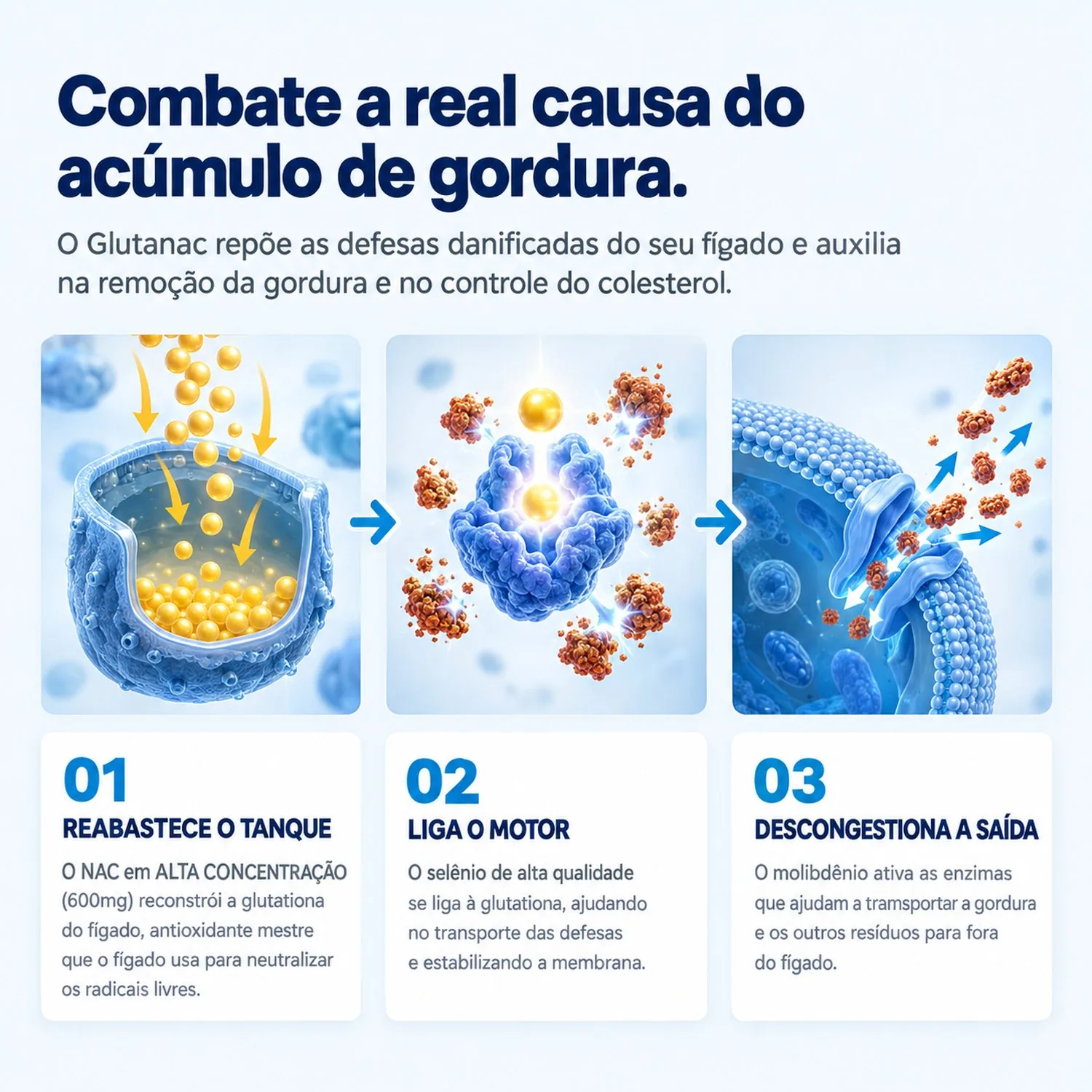 Glutanac 2